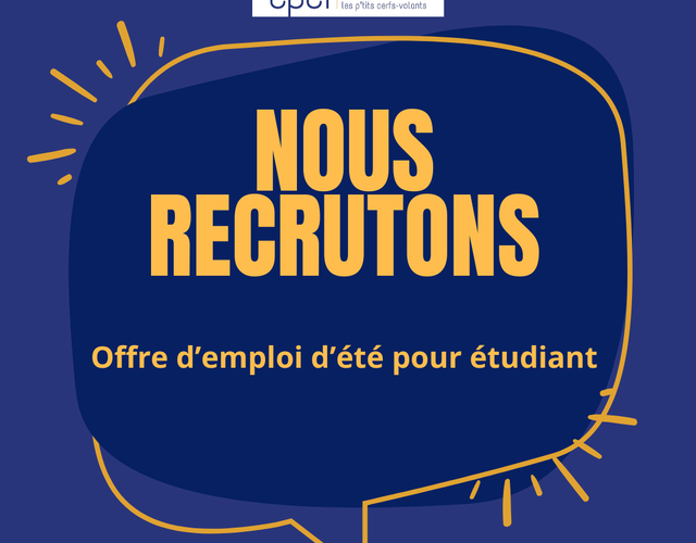 Offre d'emploi étudiant